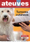 Ateuves nº 67