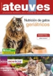 Ateuves nº 80