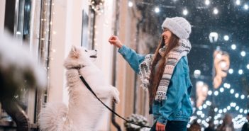 Ideas de marketing económicas para animar las visitas a la clínica durante la Navidad