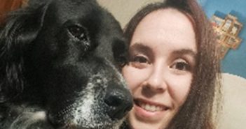 Asesoramiento responsable: el papel fundamental de un ATV en el bienestar de los animales de compañía