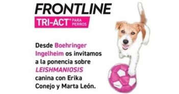 Boehringer Ingelheim invita a los auxiliares a analizar el manejo y abordaje de la leishmaniosis canina