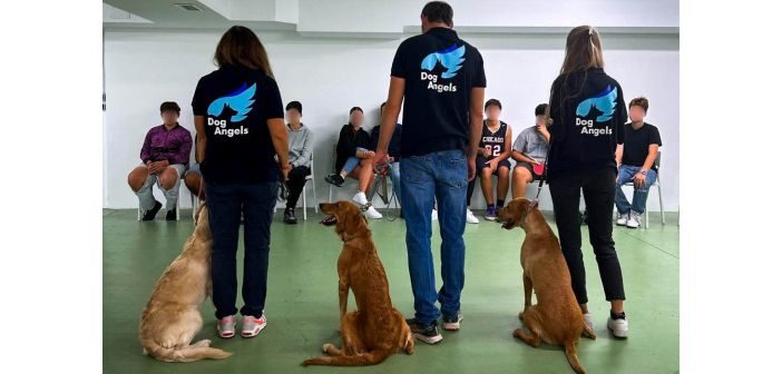 La Fundación Dog Angels y Grupo Visán se unen para fortalecer el bienestar animal y social