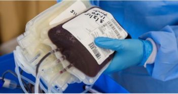 Los centros veterinarios de AniCura en Valencia buscan donantes de sangre de perros y gatos