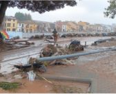 Nuevos puntos de atención urgente para animales afectados por las inundaciones